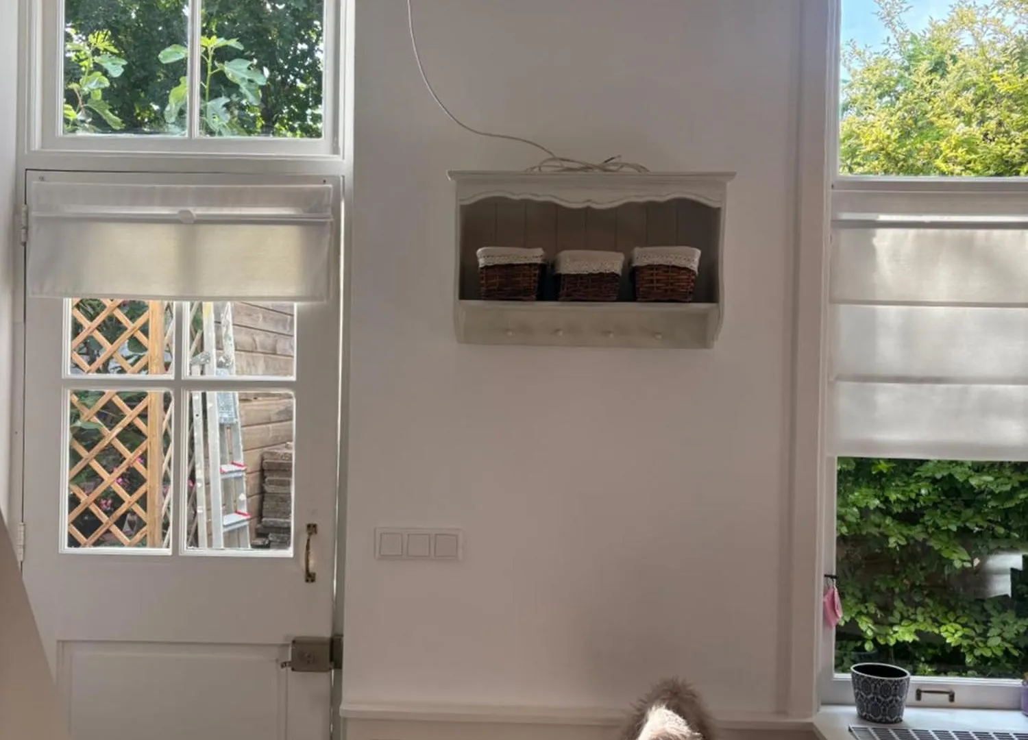 Apartmán Quiet Renovated House In City Center Haag Nizozemsko